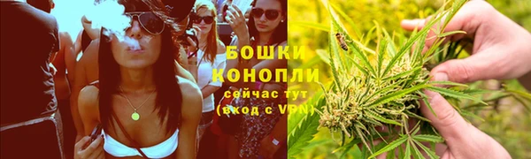 крисы Баксан