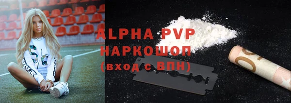 крисы Баксан