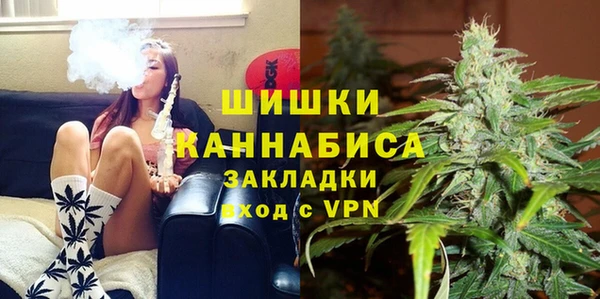крисы Баксан