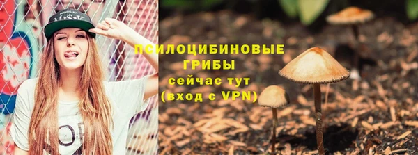 мяу мяу мука Балабаново