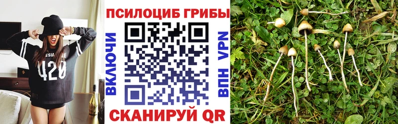 Псилоцибиновые грибы GOLDEN TEACHER Заозёрск